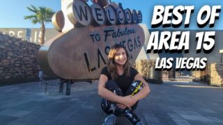 The COOLEST/WEIRDEST Place in Las Vegas | AREA 15
