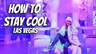 How To Stay COOL In VEGAS During the Summer